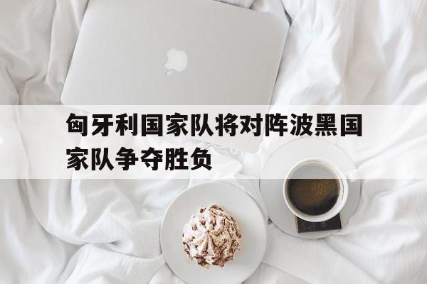 匈牙利国家队将对阵波黑国家队争夺胜负