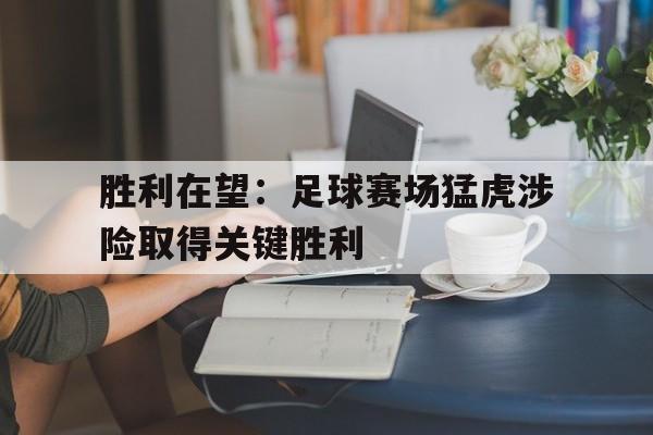 胜利在望：足球赛场猛虎涉险取得关键胜利